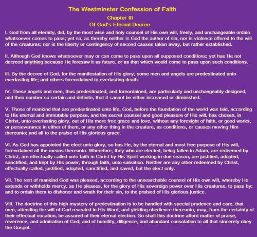 Westminster Confession 3 God's Decree